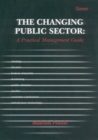 The Changing Public Sector: A Practical Management Guide - Book