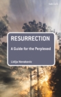 Resurrection: A Guide for the Perplexed - Book