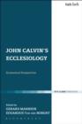 John Calvin's Ecclesiology : Ecumenical Perspectives - eBook