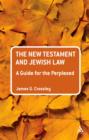 The New Testament and Jewish Law: A Guide for the Perplexed - eBook