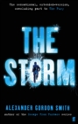 The Storm - eBook