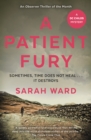 A Patient Fury - eBook