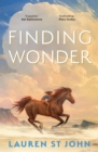Finding Wonder - eBook