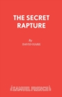 The Secret Rapture - Book