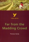 Far from the Madding Crowd: York Notes for GCSE - Book