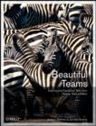 Beautiful Teams - Book