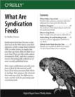 What Are Syndication Feeds - eBook