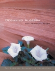 Beginning Algebra with Arithmetic Review - Book