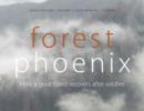 Forest Phoenix : How a Great Forest Recovers After Wildfire - eBook