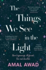The Things We See in the Light - eBook