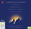 Consolations : The Solace, Nourishment and Underlying Meaning of Everyday Words - Book