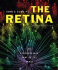 The Retina : An Approachable Part of the Brain, Revised Edition - Book