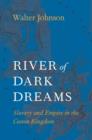 River of Dark Dreams - eBook