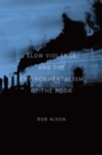 Slow Violence and the Environmentalism of the Poor - eBook