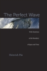The Perfect Wave : With Neutrinos at the Boundary of Space and Time - eBook