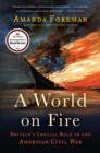 World on Fire - eBook