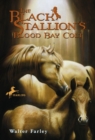 The Black Stallion's Blood Bay Colt : (Reissue) - Book