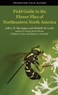 Field Guide to the Flower Flies of Northeastern North America - Book