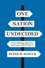 One Nation Undecided : Clear Thinking about Five Hard Issues That Divide Us - Book