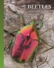 The Lives of Beetles : A Natural History of Coleoptera - eBook