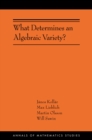What Determines an Algebraic Variety? : (AMS-216) - eBook