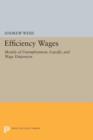 Efficiency Wages : Models of Unemployment, Layoffs, and Wage Dispersion - Book