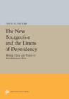The New Bourgeoisie and the Limits of Dependency : Mining, Class, and Power in Revolutionary Peru - Book