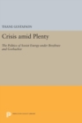 Crisis amid Plenty : The Politics of Soviet Energy under Brezhnev and Gorbachev - Book
