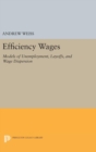 Efficiency Wages : Models of Unemployment, Layoffs, and Wage Dispersion - Book