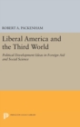 Liberal America and the Third World : Political Development Ideas in Foreign Aid and Social Science - Book