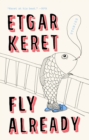 Fly Already - eBook