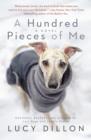Hundred Pieces of Me - eBook