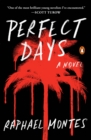 Perfect Days - eBook