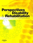 Perspectives on Disability and Rehabilitation : Contesting Assumptions, Challenging Practice - eBook