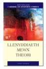 Llenyddiaeth Mewn Theori - Book