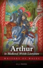Arthur in Medieval Welsh Literature - Book