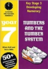 Numbers and the Number System: Year 7 : Activities for Teaching Numeracy - Book