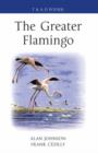 The Greater Flamingo - Book