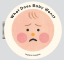 What Does Baby Want? - Book