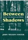 Between Shadows : Modern Irish Writing and Culture - Book
