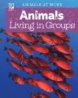 Animals Living in Groups - eBook