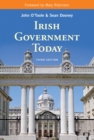 Irish Government Today - eBook