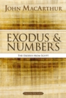 Exodus and Numbers : The Exodus from Egypt - eBook