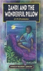 Zandi and the Wonderful Pillow - Book