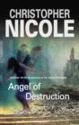 Angel of Destruction - Book