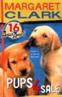 Aussie Angels 16: Pups 4 Sale - eBook