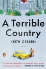 Terrible Country - eBook