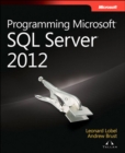 Programming Microsoft SQL Server 2012 - eBook