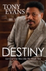 Destiny : Let God Use You Like He Made You - eBook