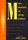 Modern Organizations and Emerging Conundrums : Exploring the Postindustrial Subculture of the Third Millennium - Book